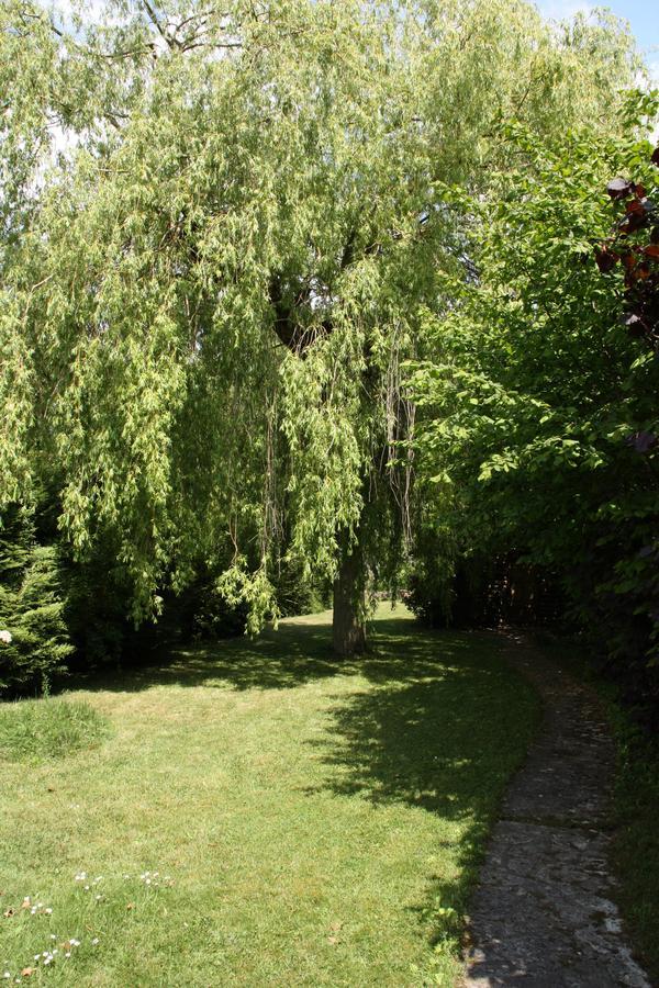 Le Cottage - Chambres D'Hotes Paris Saclay Bures-sur-Yvette Bagian luar foto